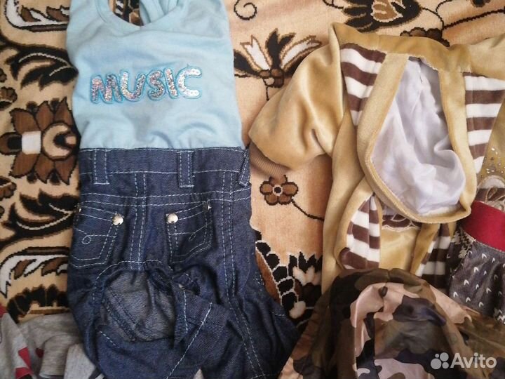 Одежда для маленьких собак