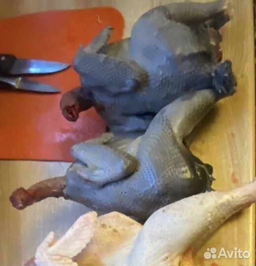 Инкубационное яйцо курицы Ухейилюй