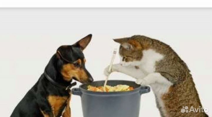 Еда для животных Пищевые отходы