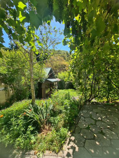 Дом 275 м² на участке 7 сот.