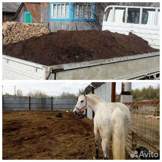 Конский навоз