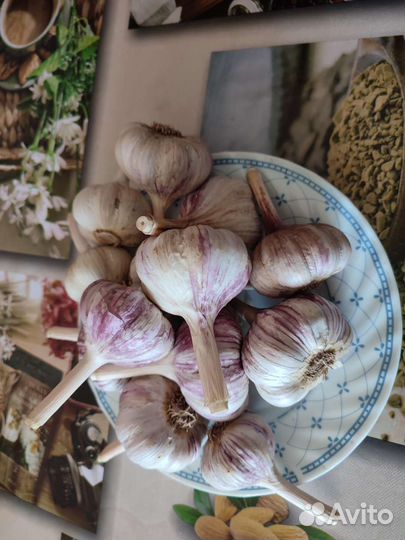 Помидоры со своего участка