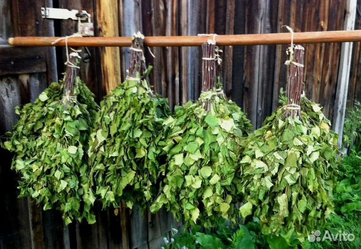 Веники для бани березовые