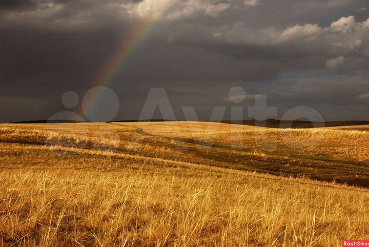 Участок 80 га (СНТ, ДНП)