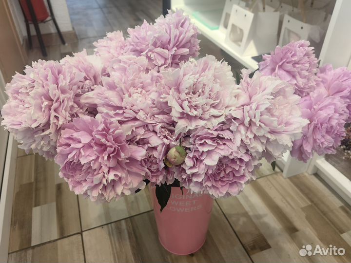 Живые цветы букеты пионы