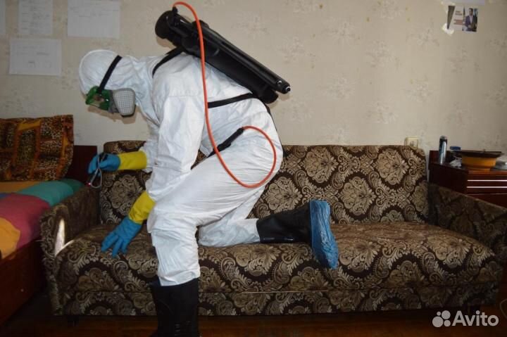 Уничтожение клопов тараканов муравьёв блох