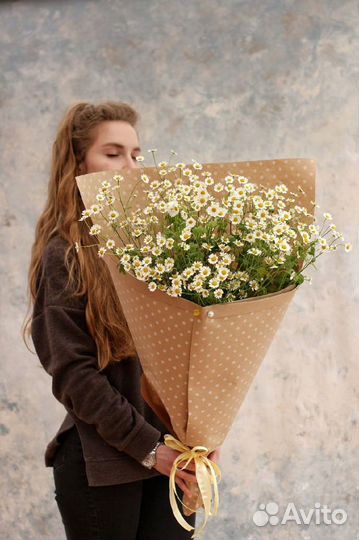 Матрикария