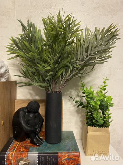 Зелень розмарин для декора интерьера