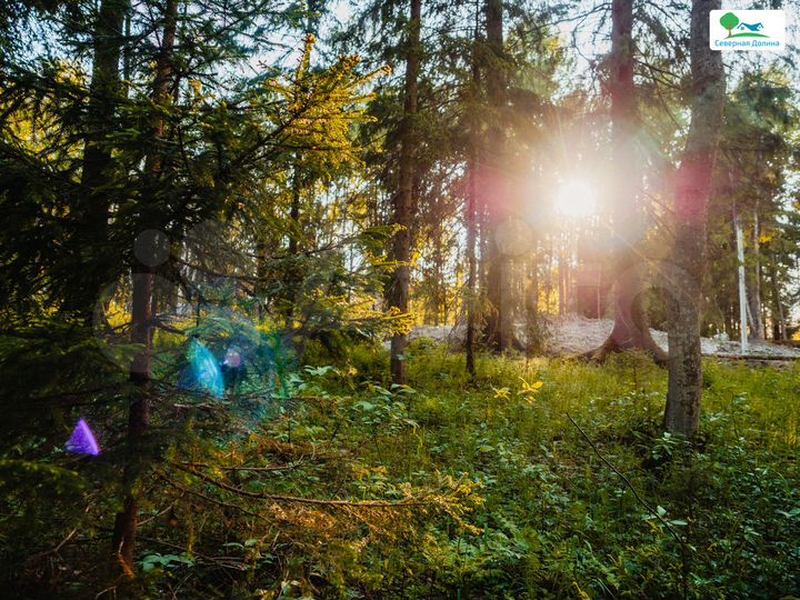 Участок 10 сот. (СНТ, ДНП)