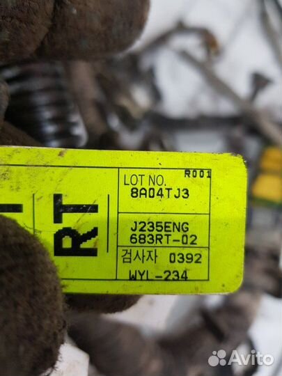 Проводка двс Chevrolet Lacetti J200 F14D3 2008