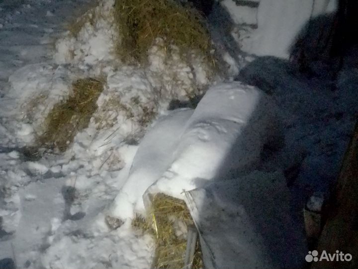 Продам солому в мешках
