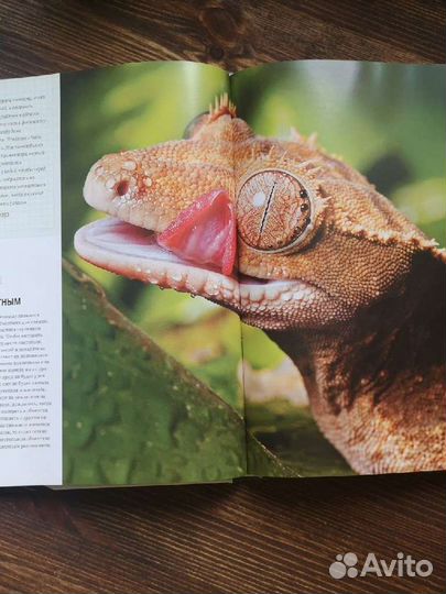 Фотография. Полный курс мастерства