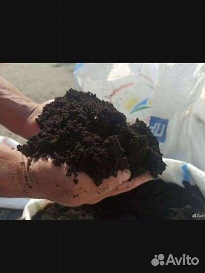 Чернозем конский перегной В мешках