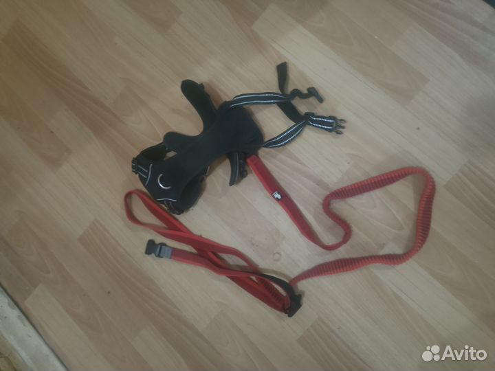 Шлейка с поводком для бега