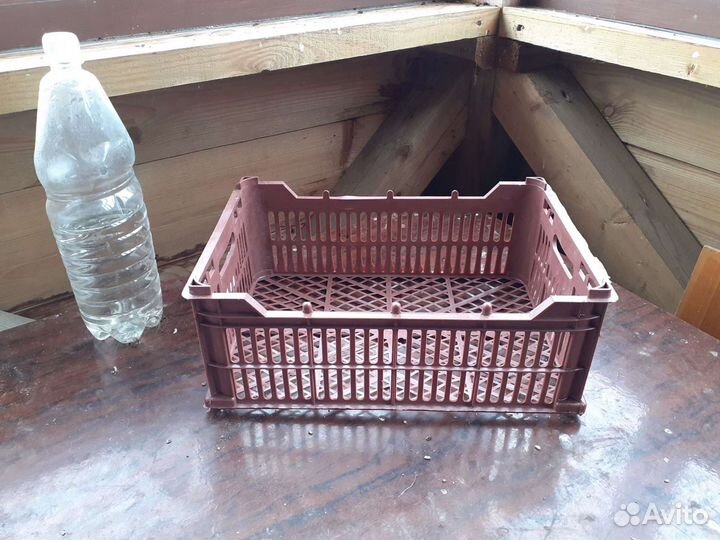 Ящик пластмассовый для овощей