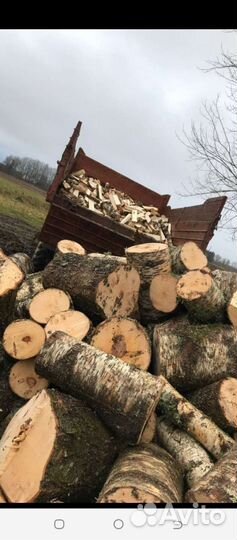 Продам дрова