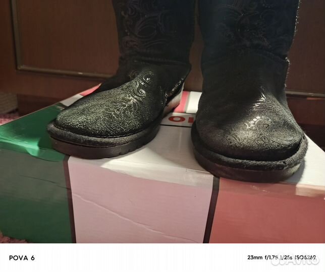 Сапоги женские зимние