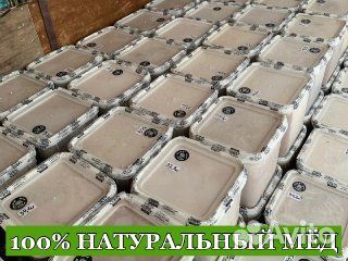 Мёд Алтайский край опт