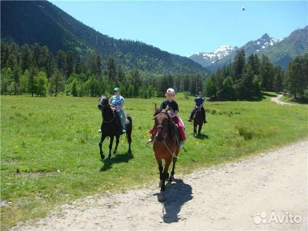 Помощь в поиске жилья, Кисловодск Ессентуки кмв