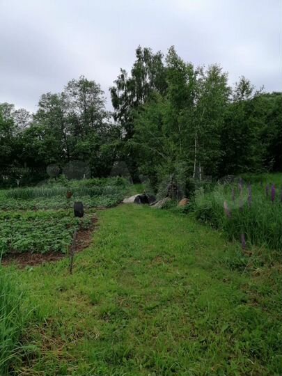 Участок 5 сот. (СНТ, ДНП)