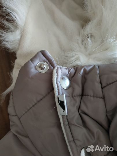 Тёплый комбинезон собачке