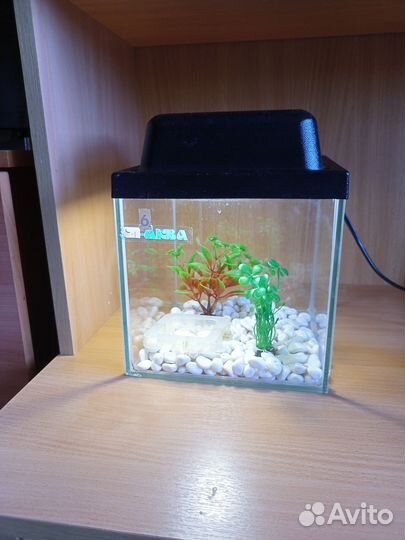 Аквариум