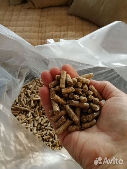 Лоток для кошки+наполнитель