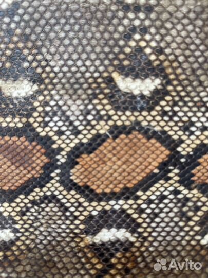 Чехол из кожи питона для планшета iPad Aple