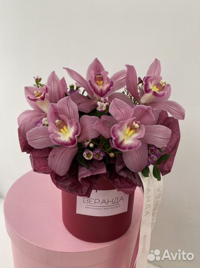 Орхидеи в коробке