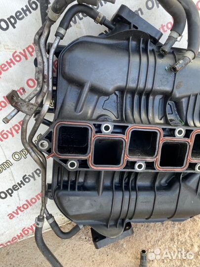 Коллектор впускной Infiniti Ex35 J50 VQ35HR 2009