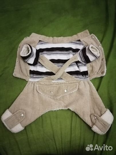 Костюм для собаки