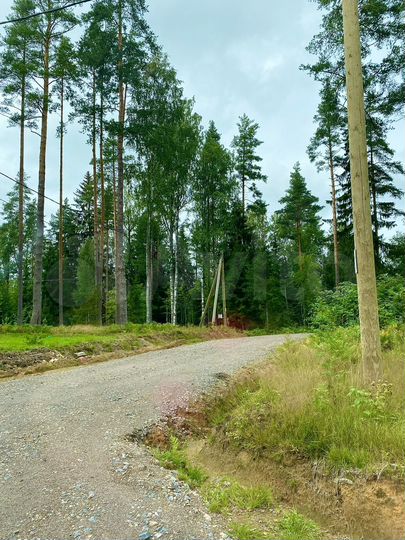 Участок 8,6 сот. (СНТ, ДНП)