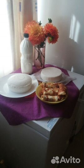 Козье молоко, творог, сыр, сливки, мороженое Пломб