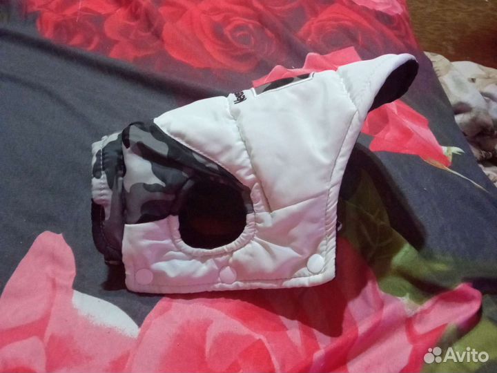 Костюм Чихуахуа/мини той терьер