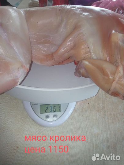 Мясо кролика