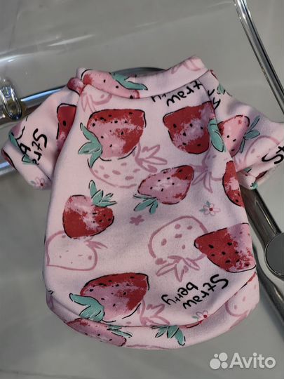 Одежда для кота