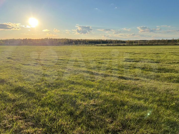 Участок 104 га (СНТ, ДНП)