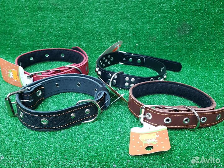 Ошейник для собак