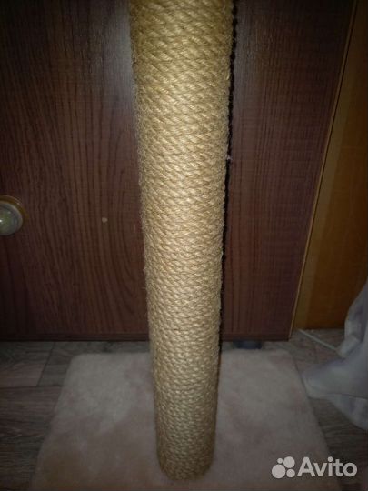 Когтеточка с лежанкой