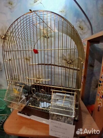 Птенец с клеткой