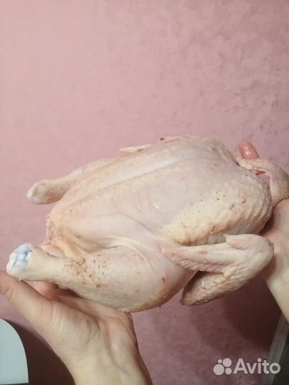 Продажа домашней курочки, уток, индейка