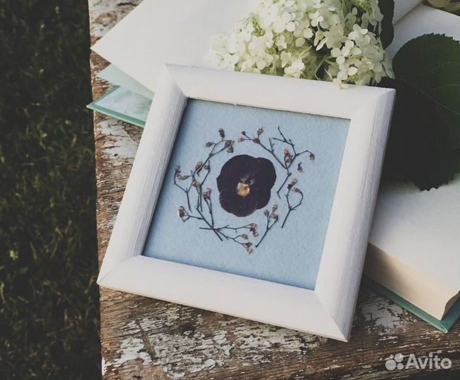 Гербарий с сухоцветами