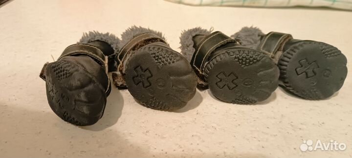 Зимние ботинки для собак