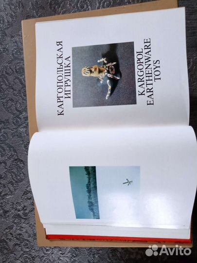 Книга в обложке