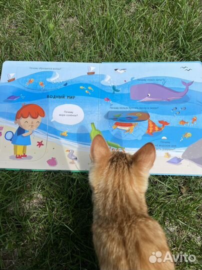 Развивающие книжки