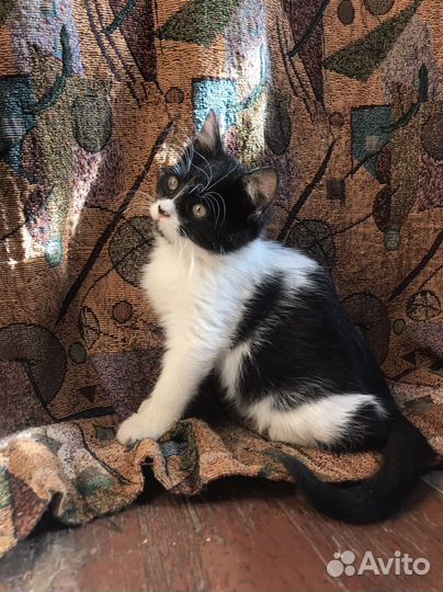 Умные и красивые девочки. п. Мезмай