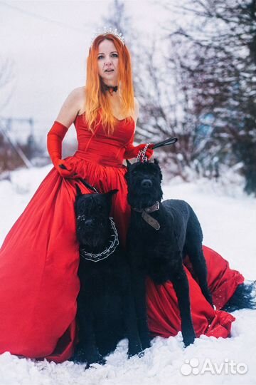 Необычное свидание на частной ферме