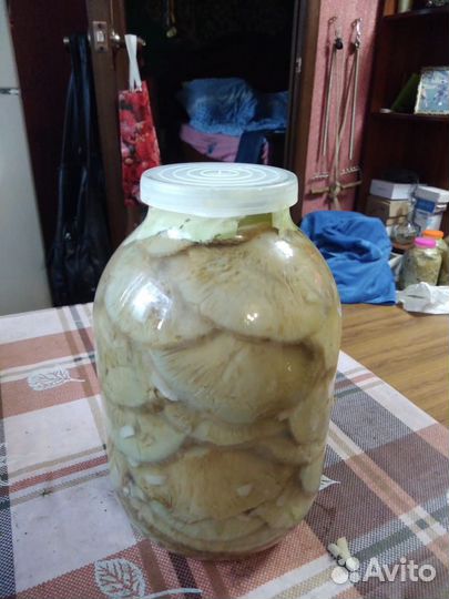 Грибы грузди соленые