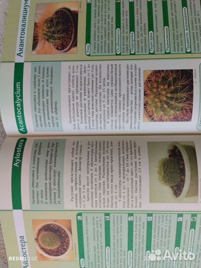 Книга Энциклопедия комнатных растений