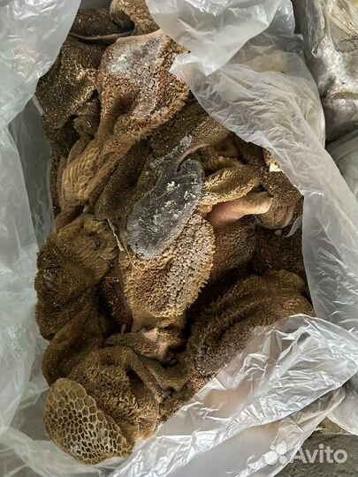 Рубец говяжий очищенный